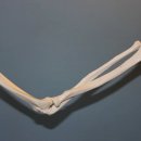 연세드림의원 이미지