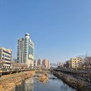 양림펭귄마을 협동조합 | 광주 가볼만한곳 양림문화역사마을 양림동 펭귄마을 공예거리 전망대 펭귄빵