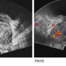 서울스타비뇨기과의원 이미지