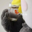 자연이 주는밥상 이미지