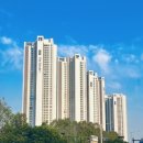 엘로이 | 일산엘로이 셀프사전점검 후기.feat내돈내산....