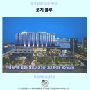 블루호텔 | 타오위안 코지 블루 호텔 후기추천 숙소
