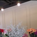 조암남로 이미지