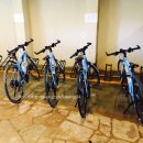 디어메드(dear-Med) | 클럽메드 산야 후기 마지막 글