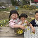 으뜸이야 이미지