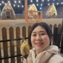 여행 전 급 다이어트 한약 감비환 참명인한의원