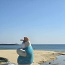 솔게스트하우스동해서핑점 | 양양 서핑 천국, 솔게스트하우스 양양서핑점 직접 체험 리뷰