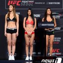 UFC 서울 옥타곤걸 이미지