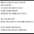 혜화동두찜 네이버블로그