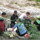 화북초등학교 이미지