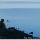 고두섬횟집 이미지