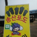 성복농장 이미지