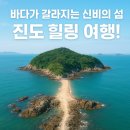 🌊진도 가볼만한 곳 BEST 4✨ 자연·예술·바다를 한 번에!