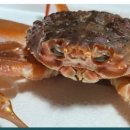 영준 농장 이미지