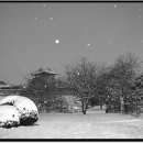 첫눈 - 청주시 청원구 | 첫눈