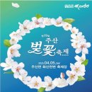 봄날(a spring day)
