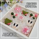 (5/15)화과자 만들기 | 일산 화과자 시은공방 원데이클래스 다녀온 후기 | 예쁜 상견례 선물·답례품 추천