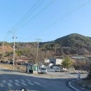 2차선접 버스정류장접 관리지역 464.7평 매가6500만원 이미지