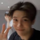 스핑 | 프린스핑송