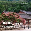 선운사의추억 | 고창 선운사 배롱나무꽃 만개 여름 힐링 산사 여행 &amp; 선운 미디어갤러리