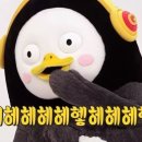 앤티앤스제주노형점