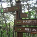 2009년5월9일 천경산악회 청계산 산행 결과 이미지