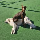 태담이네 하우스 이미지