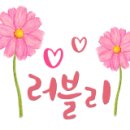 마렌지오스포츠센타 이미지