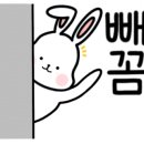 자매물회 이미지
