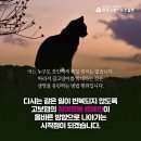 동물보호협회 동행 이미지