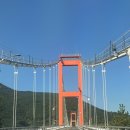 하동케이블카 | 하동 가볼만한 곳, 하동 플라이웨이 케이블카 후기🚠