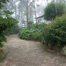 나리가펜션 이미지