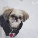 소래동물병원 이미지