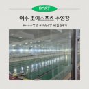 (주)동아스포츠수영장 | 여수 조이스포츠센터 수영장ㅣ강습수영, 자유수영