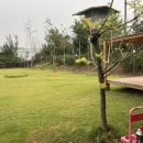 잭큐몬티562 이미지