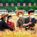 용진1농장 이미지