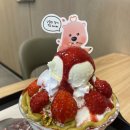 영천시청 | 설빙 신메뉴 잔망루피낭만딸기설빙 내돈내산 설빙 영천시청점 후기