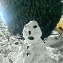 함평자연생태공원 이미지