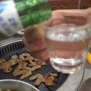 경기도 수원시 권선구 세지로 68 (권선동) | 입맛 돋우는 신선한 권선동막창, 인생막창의 매력에 빠져보세요