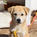 멍돌이와 멍순이 이미지