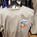 포켓피쉬 이미지