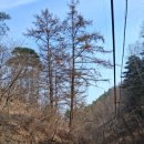 부남면사무소 | [청송 가족여행] 소노벨 청송 2박3일 3일차 후기