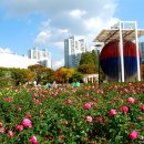 꽃향기 머무는 곳 이미지