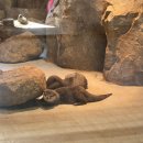 수달앤쥬 이미지