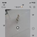 뭉난이 네이버블로그