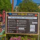 정관 어린이도서관(윗골공원) 티스토리