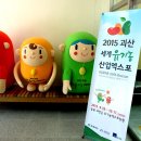 제17회 전국학생통계활용대회 개최 이미지