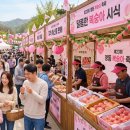 제17회 순천명품 월등 복숭아 체험행사 | 월등면 복숭아축제 2026 일정 순천 월등복숭아 체험행사 가볼 만할까