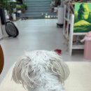 소현화실