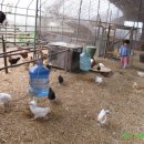 기훈농장 이미지